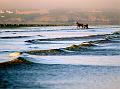 litoral 26_06_11n04